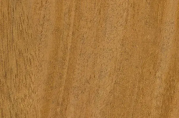 Honduran Mahogany