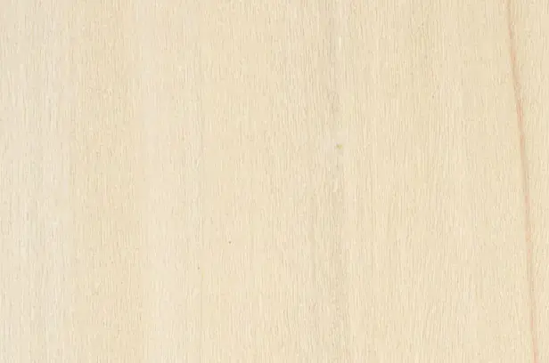 Poplar