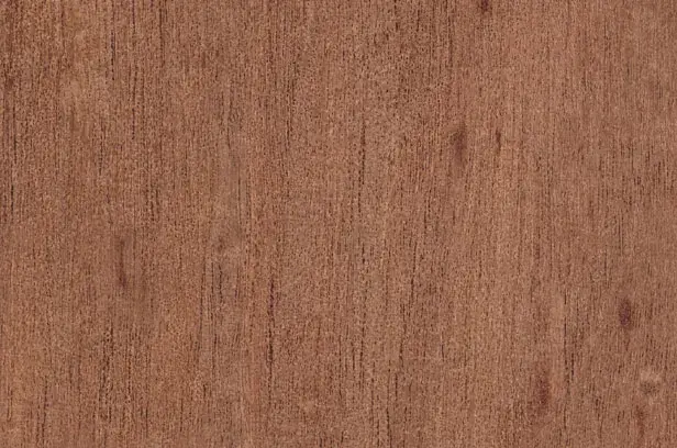 Spanish Cedar