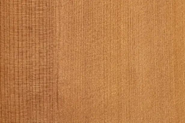 Western Red Cedar&nbsp;